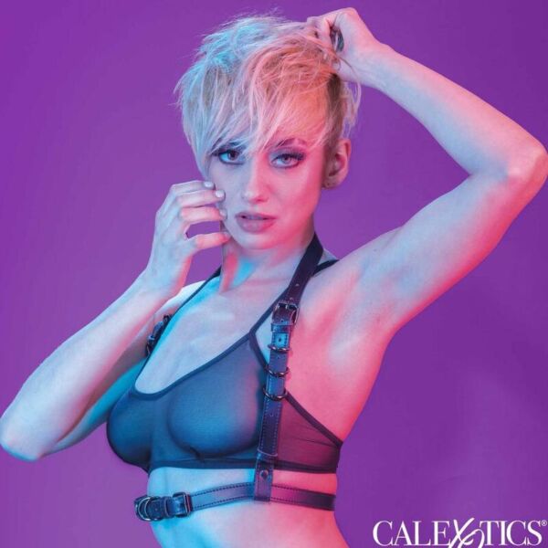 CalExotics Euphoria Halter harnas met gesp
