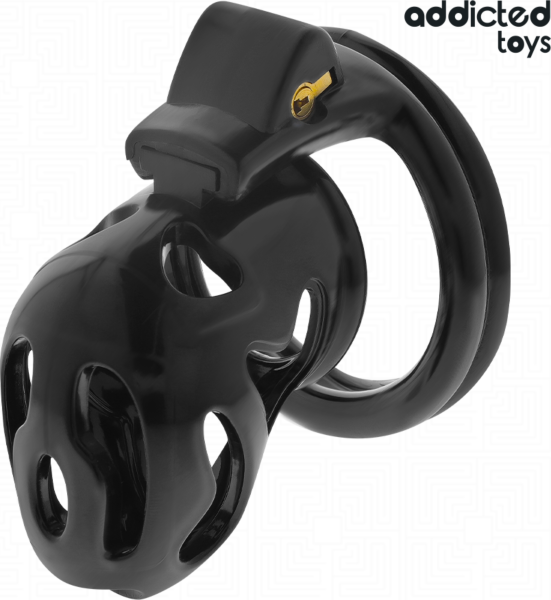 Kuisheidskooi Addicted Toys Locked 8 cm met vier ringen en sleutels