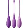 Kegel Train-Her Set FANTASY FOR HER - Versterk je spieren