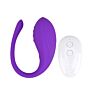 Vibrator Loving Joy Remote Controlled Love Egg