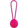 Roze Vibrator Osian