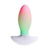 Vibratie Speeltje Paradise Pleasure The Plug met RGB verlichting