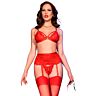 Lingerieset CHILIROSE CR 4895 Vijfdelig