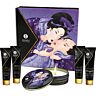Kits Parejas SHUNGA SECRET GEISHA | Sensuele ervaring voor koppels