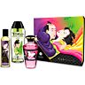 Shunga Kits Fruity Kisses collectie — fruitige massage- & glijset