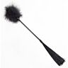 Zweep BDSM SECRETPLAY Duster + Zwarte Zweep