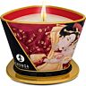 Shunga Mini Caress massagekaars 170 ml aardbei & cava