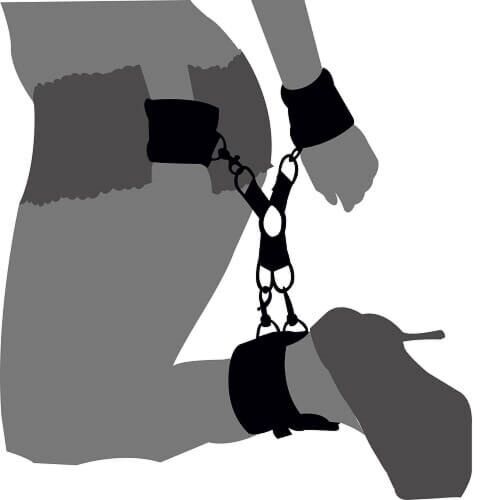 Restraints Loving Joy Hog Tie Set voor bondage