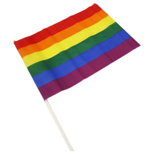 Artikelen Divertidos PRIDE Banderin Groot met LGBT-vlag