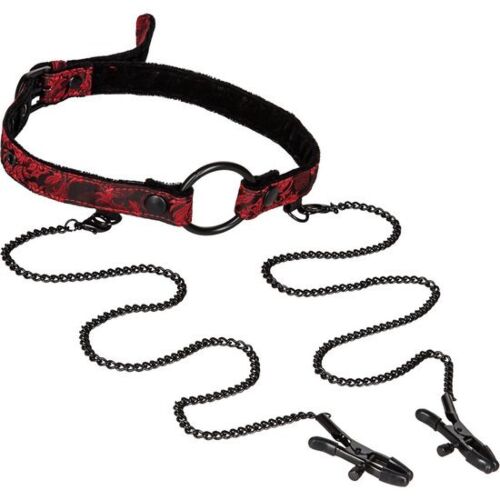 Mordaza met knijpers Scandal - Sensuele Bondage