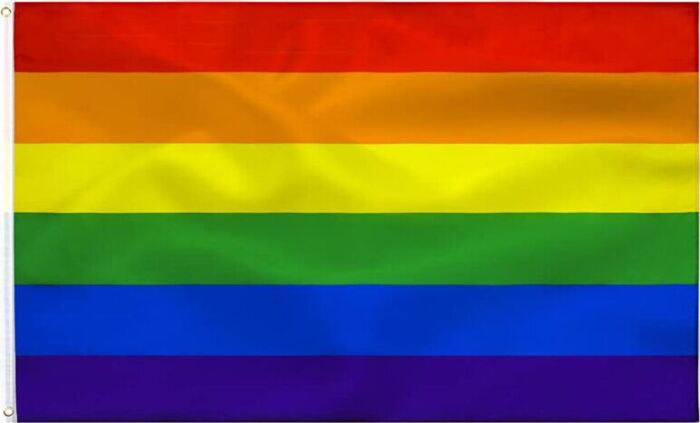 Pride Vlag 90x150 cm - Vier de Diversiteit