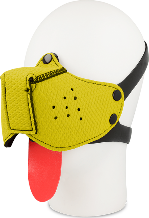 Gele muilkorf Ohmama