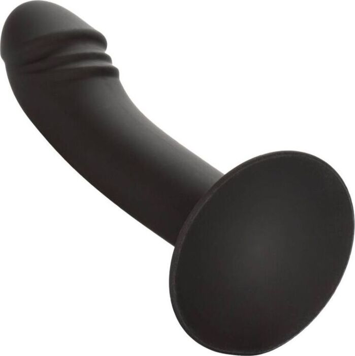 Dildo Anale Calexotics Curved Anal Stud - Perfecte Passvorm Dildo Anale Calexotics Curved Anal Stud - Perfecte Passvorm