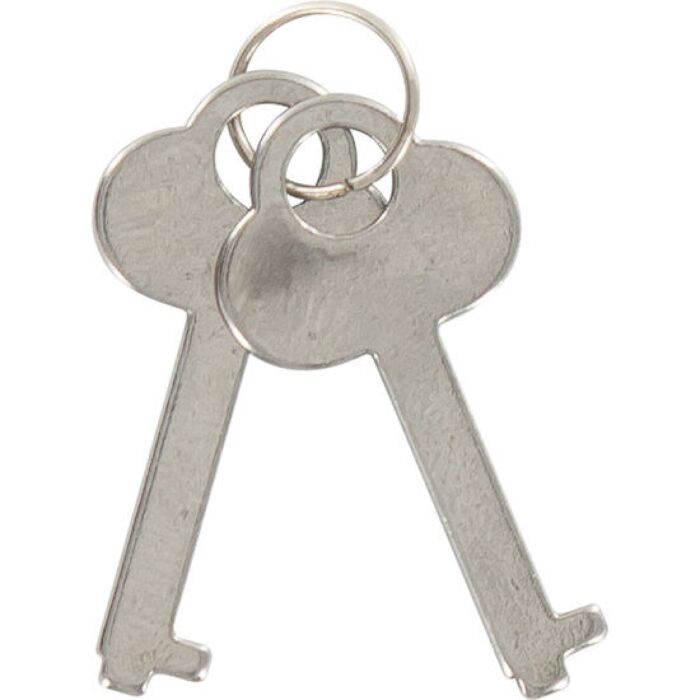 Esposas TOYJOY met zachte peluche en veiligheidssleutel