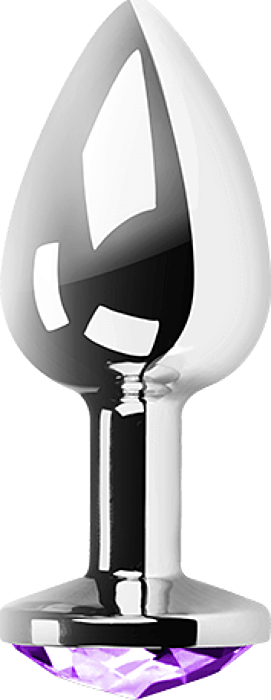 Paarse Metalen Medium Plug