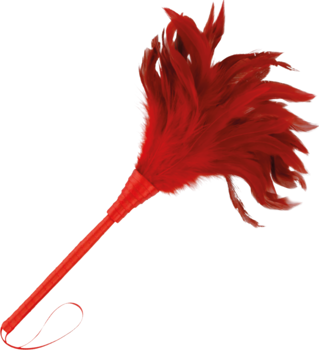 Bondage Darkness Rode Pluma 24 cm