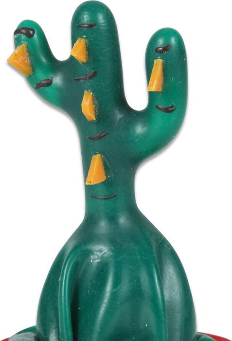 Preservatief Condomerie Cactus Handgeschilderd