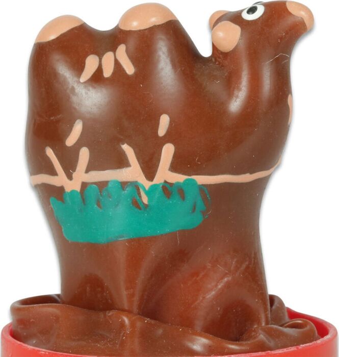 Preservatief Condomerie Camello Decoratief