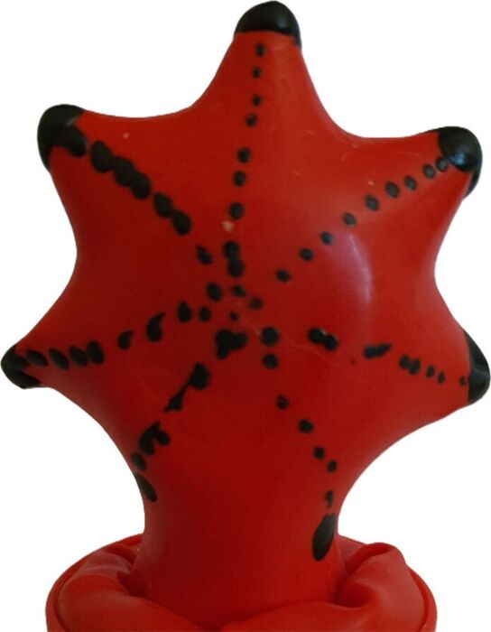 Preservatif Condomerie Sterren van de Zee