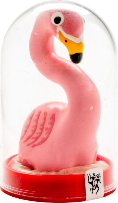 Preservatief Condomerie Flamenco Roze Decoratief
