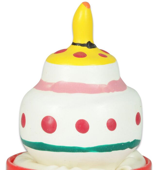 Condoom Decoratief Condomerie Cake - Handgeschilderd